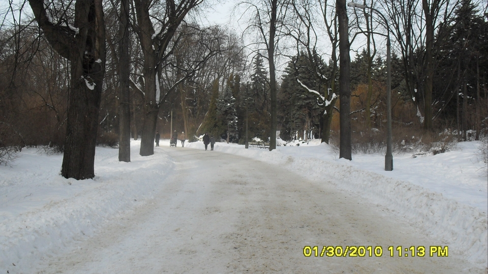 W Parku