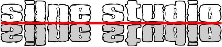 silne_studio.pl