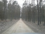 036.jpg (thumbnail)