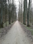 040.jpg (thumbnail)