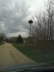 041.jpg (thumbnail)