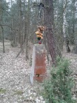 046.jpg (thumbnail)